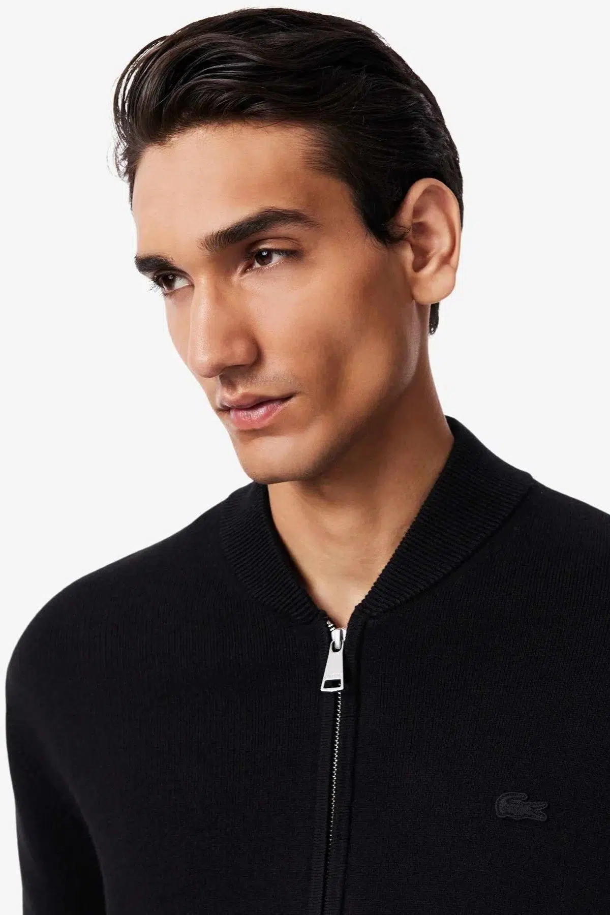 Lacoste Erkek Classic Fit Fermuarlı Kolej Yaka Pamuklu Yünlü Kalın Hırka Siyah