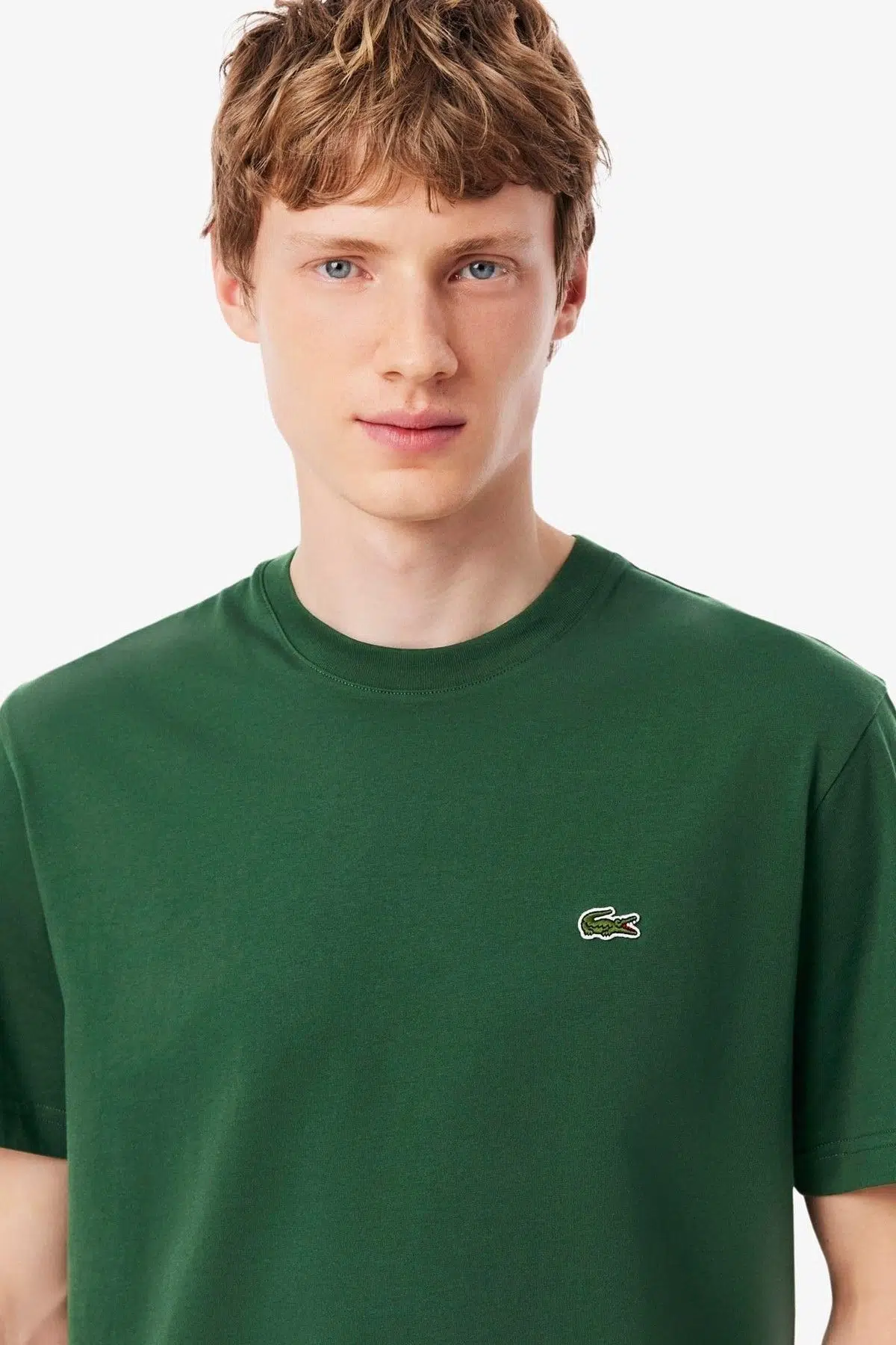 Lacoste Men's Classic Fit Crew Neck T-Shirt Erkek Bisiklet Yaka Pamuklu Tişört Yeşil