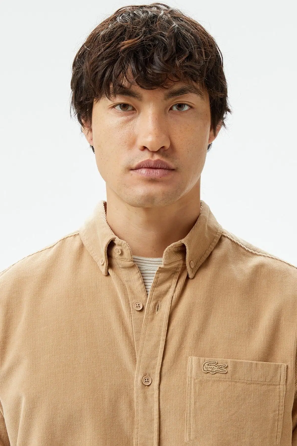 Lacoste Men's Regular Fit Button-Down Collar Velvet Shirt Brown Erkek Düğmeli Yaka Kadife Gömlek Kahverengi