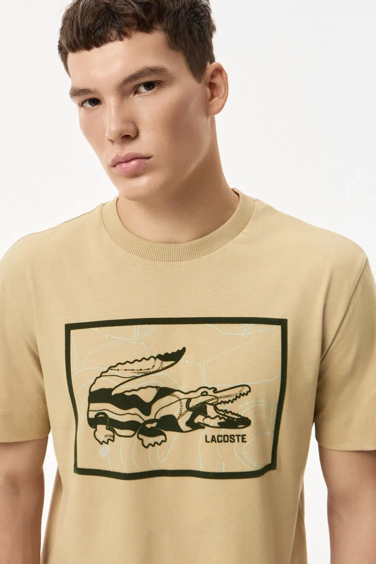 Lacoste Men's Regular Fit Tshirt Pamuklu Bisiklet Yaka Erkek Tişört Bej 