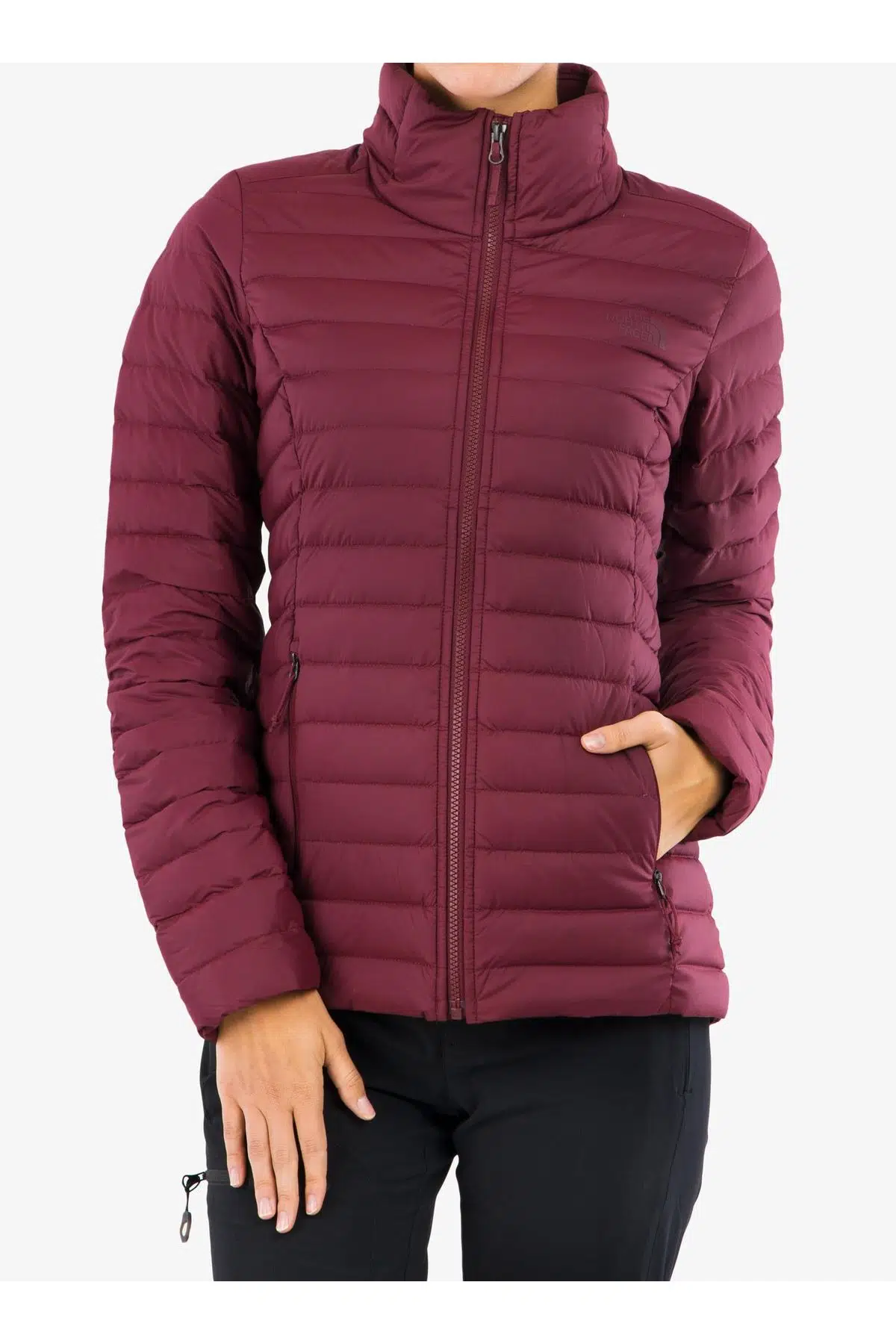 The North Face Strech Down Fill 700 Jkt Kaz Tüyü Mont